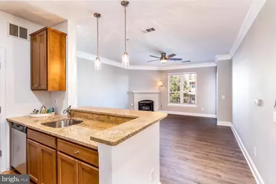 1581 Spring Gate Drive #5307, McLean, VA 22102 - Photo 4