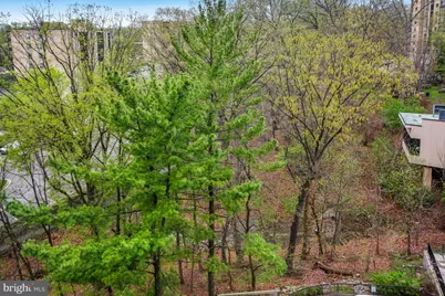 5904 Mount Eagle Drive #718, Alexandria, VA 22303 - Photo 26