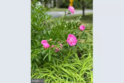 7715 Elba Road, Alexandria, VA 22306 - Photo 62