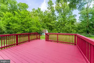 3447 Little Hunting Creek Dr, Alexandria, VA 22309 - Photo 50