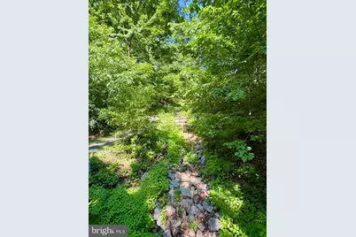 5903 Mount Eagle Drive #1110, Alexandria, VA 22303 - Photo 6