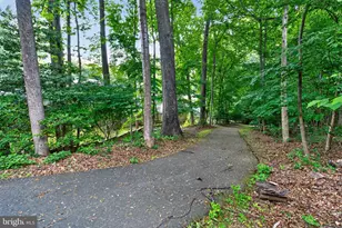 11716 Dry River Ct, Reston, VA 20191 - Photo 44