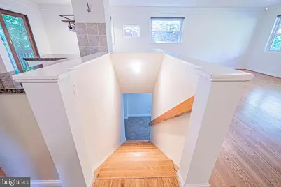 6466 Oakwood Drive, Falls Church, VA 22041 - Photo 26
