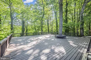 6466 Oakwood Dr, Falls Church, VA 22041 - Photo 36