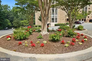 5904 Mt Eagle Dr, Alexandria, VA 22303 - Photo 92