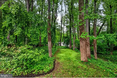 6538 Oakwood Drive, Falls Church, VA 22041 - Photo 38