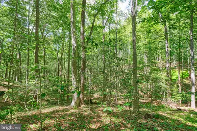 8228 Shadowridge Drive, Fairfax Station, VA 22039 - Photo 12