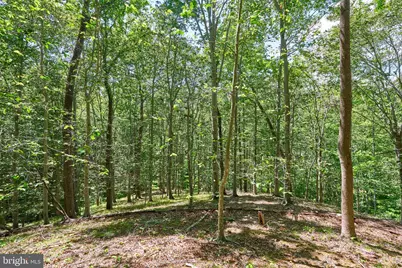 8228 Shadowridge Drive, Fairfax Station, VA 22039 - Photo 18