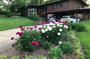 3018 Pine Spring Rd, Falls Church, VA 22042 - Photo 2