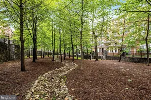 4497 Beacon Grove Cir, Fairfax, VA 22033 - Photo 24