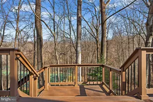 10223 Cedar Pond Dr, Vienna, VA 22182 - Photo 36