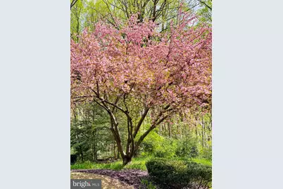 10223 Cedar Pond Drive, Vienna, VA 22182 - Photo 42