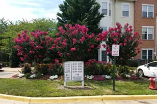 4139 Fountainside Ln, Fairfax, VA 22030 - Photo 46