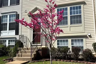14657 Winterfield Dr, Centreville, VA 20120 - Photo 2