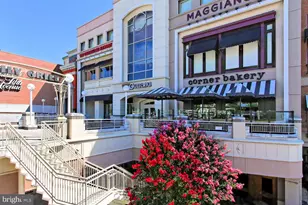 3009 Marshall St, Falls Church, VA 22042 - Photo 84