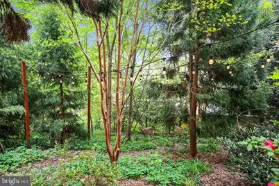 2325 Highland Avenue, Falls Church, VA 22046 - Photo 34