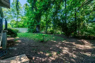 3219 Norfolk Ln, Falls Church, VA 22042 - Photo 48