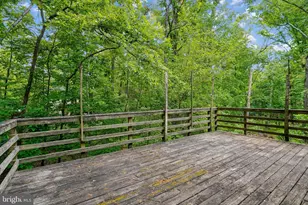 10802 Dayflower Ct, Reston, VA 20191 - Photo 32