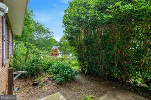 5759 Heming Ave, Springfield, VA 22151 - Photo 54