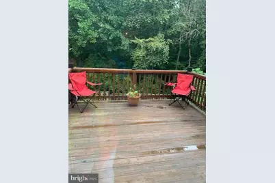 7416 Spring Tree Drive, Springfield, VA 22153 - Photo 36