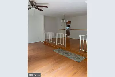 7416 Spring Tree Drive, Springfield, VA 22153 - Photo 10