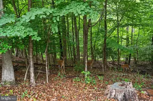 2303 Middle Creek Ln, Reston, VA 20191 - Photo 48