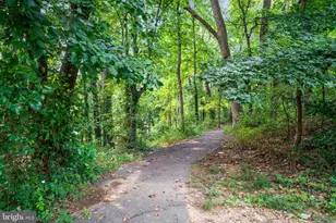 3639 Ransom Pl, Alexandria, VA 22306 - Photo 70