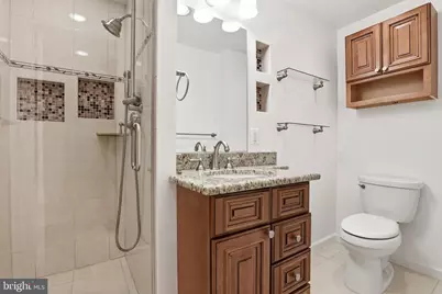 219 Apple Blossom Court, Vienna, VA 22181 - Photo 48