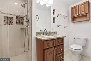 219 Apple Blossom Ct, Vienna, VA 22181 - Photo 48