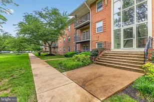 3334 Spring Ln, Falls Church, VA 22041 - Photo 2