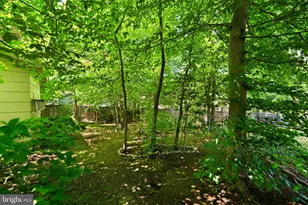 6703 Red Jacket Rd, Springfield, VA 22152 - Photo 28