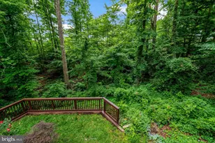 7373 Silver Pine Dr, Springfield, VA 22153 - Photo 64