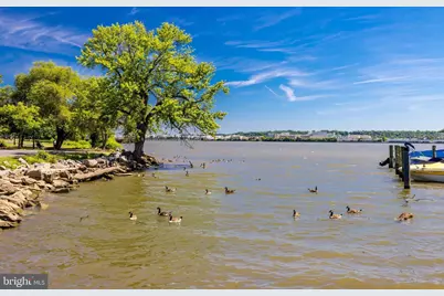 6718 W Wakefield Drive #B2, Alexandria, VA 22307 - Photo 68