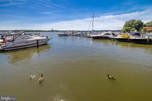 6718 W Wakefield Dr, Alexandria, VA 22307 - Photo 56