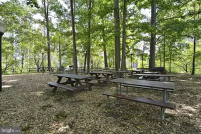 5901 Mount Eagle Drive #104, Alexandria, VA 22303 - Photo 36