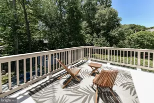 8318 Woodacre St, Alexandria, VA 22308 - Photo 28