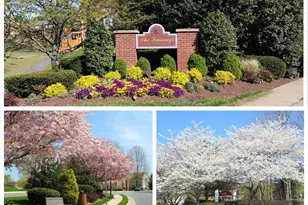 3915 Green Look Ct, Fairfax, VA 22033 - Photo 40