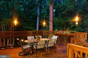5913 Reservoir Heights Ave, Alexandria, VA 22311 - Photo 46