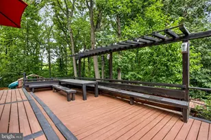 6456 Maplewood Dr, Falls Church, VA 22041 - Photo 58