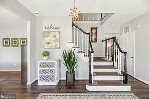 7004 Green Spring Ln, Alexandria, VA 22306 - Photo 26