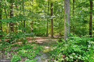 9100 Donna Dean Dr, Springfield, VA 22153 - Photo 56
