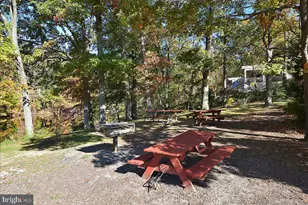 3609 Pinetree Terrace, Falls Church, VA 22041 - Photo 44