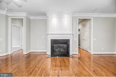 8406 Mountain Larkspur Dr Drive, Lorton, VA 22079 - Photo 24