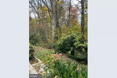 6803 Wild Rose Court, Springfield, VA 22152 - Photo 46