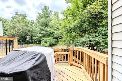 6003 Little Brook Court, Clifton, VA 20124 - Photo 30
