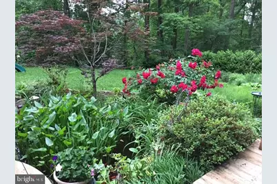 6534 Jay Miller Drive, Falls Church, VA 22041 - Photo 24