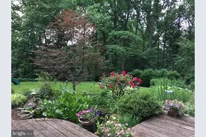 6534 Jay Miller Drive, Falls Church, VA 22041 - Photo 22