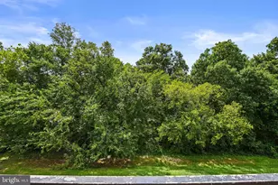 14905 Rydell Rd, Centreville, VA 20121 - Photo 26