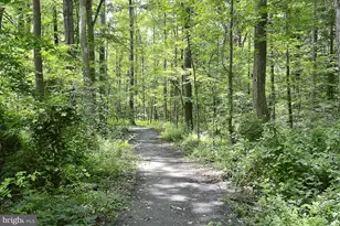 3214 Chichester Ln, Fairfax, VA 22031 - Photo 48