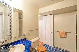 5229 Chippewa Pl, Alexandria, VA 22312 - Photo 54